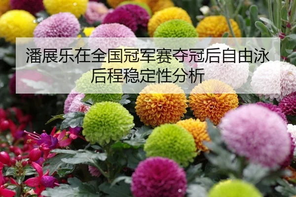 潘展乐在全国冠军赛夺冠后自由泳后程稳定性分析