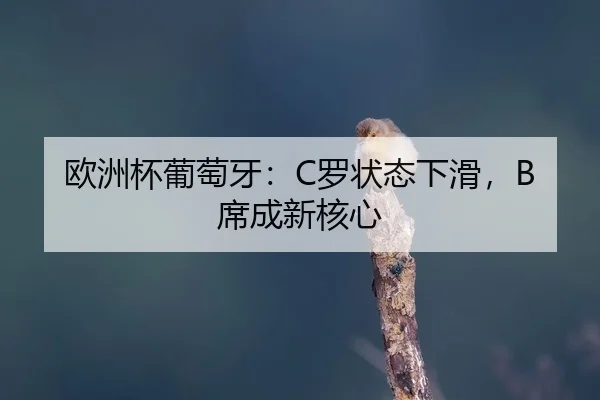 ou-zhou-bei-pu-tao-ya-luo-zhuang-tai-xia-hua-xi-cheng-xin-he-xin-2-369.jpg