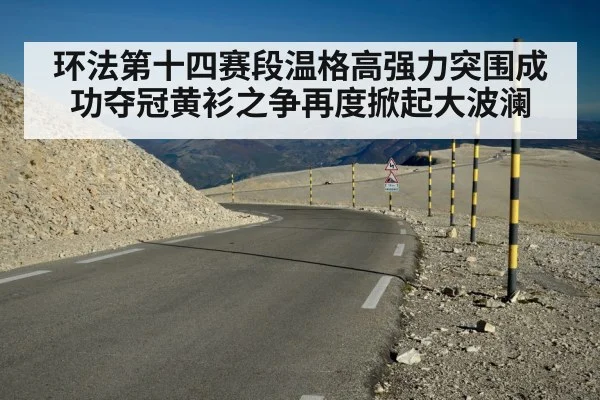 环法第十四赛段温格高强力突围成功夺冠黄衫之争再度掀起大波澜