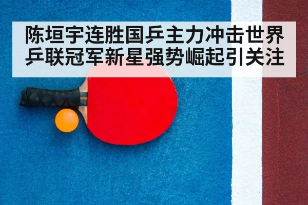 table tennis racket close up